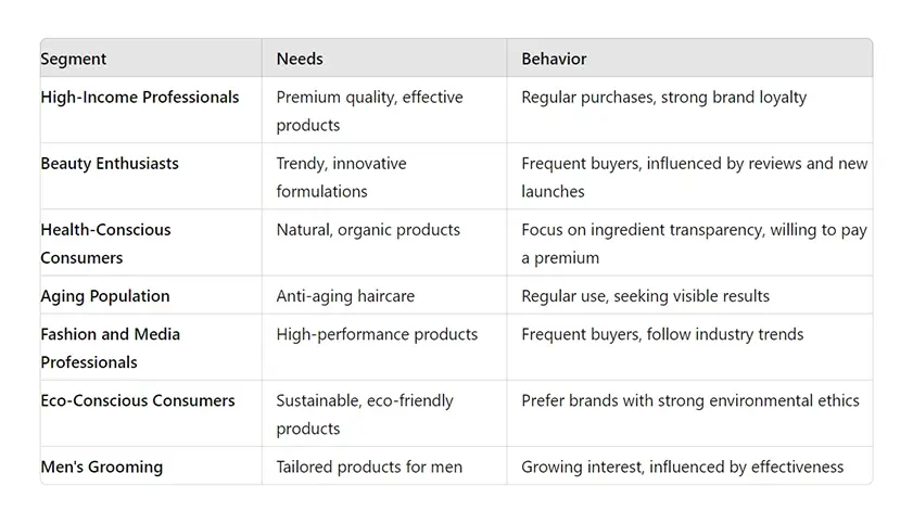 creating a market segmentation