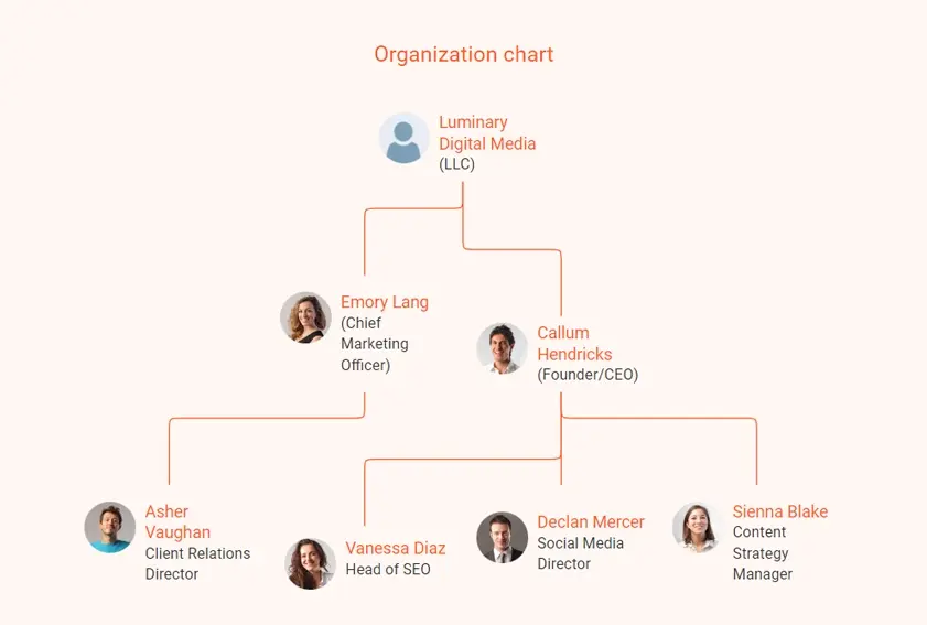 digital marketing agency business plan organization chart