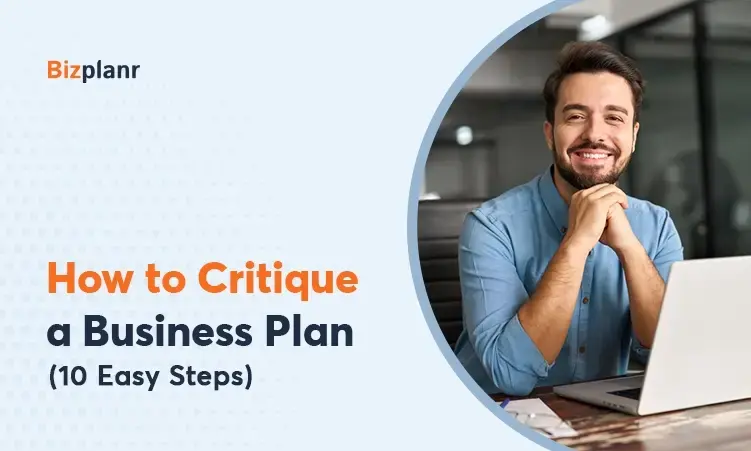 how to critique a business plan