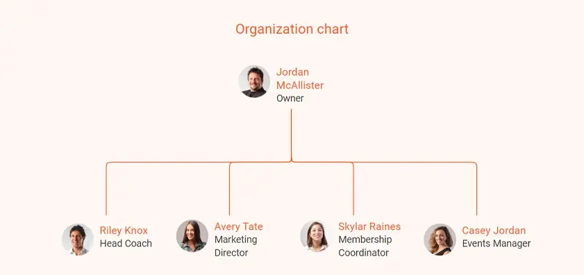 pickleball organization chart