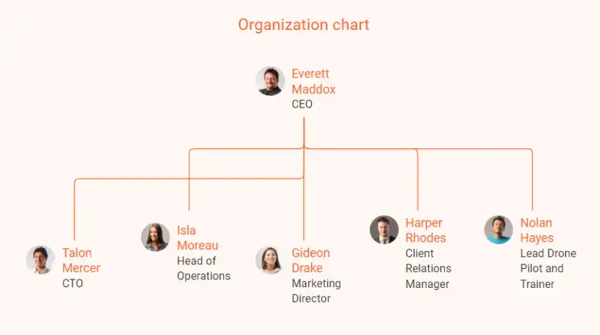 organization chart drone business plan