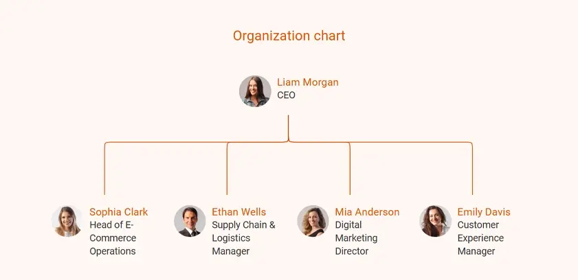 organization chart for dropshipping business plan