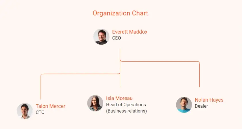 solar panel business plan organization chart