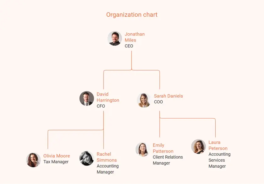 organization chart for accounting firm business plan