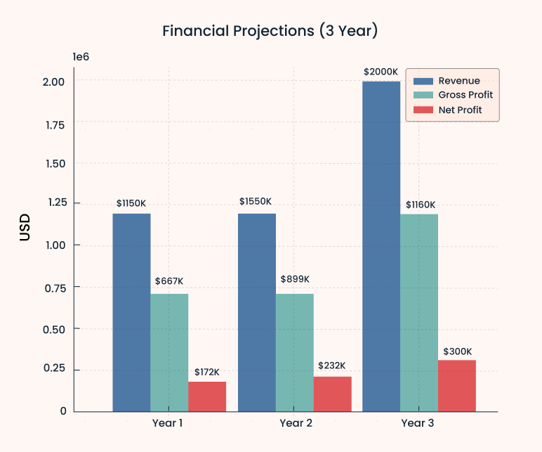 Financial projections 3 year