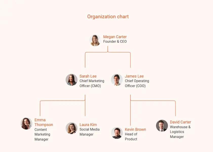 organization chart for e-commerce business plan