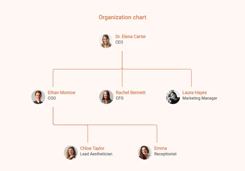 organizational chart for med spa business plan