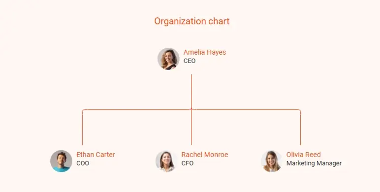 organization chart 