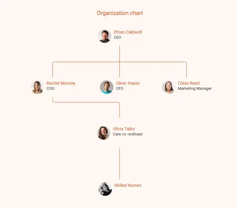 organization chart of home health care business plan