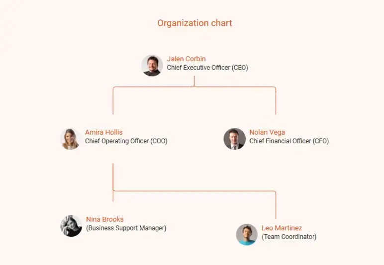 holding company business plan organization chart