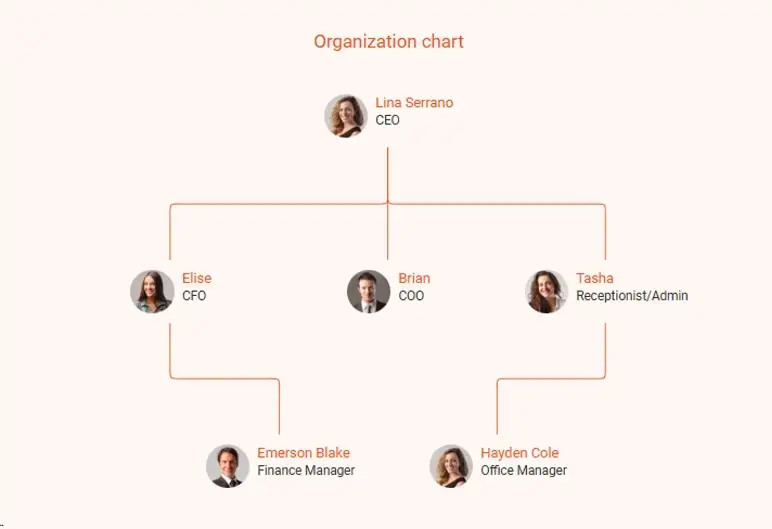 venture capital business plan organization chart