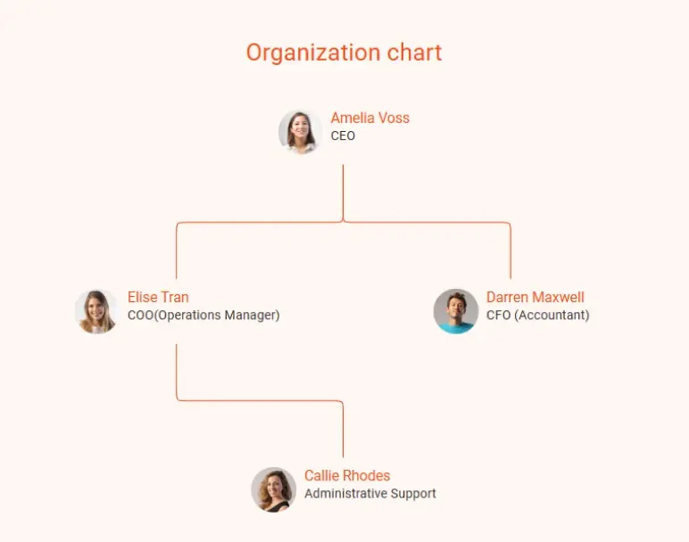 skin care business plan organization chart