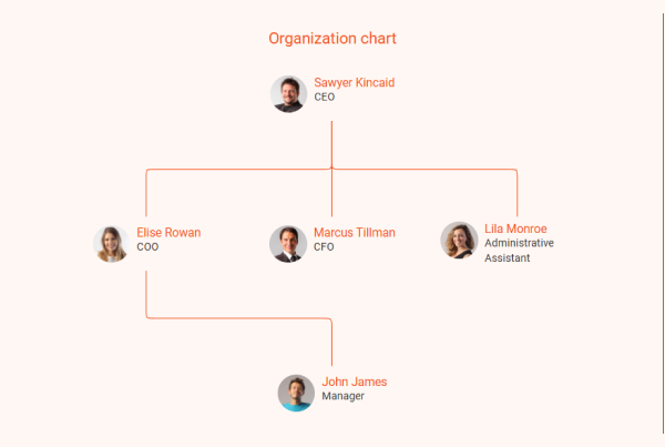 firewood business plan organization chart