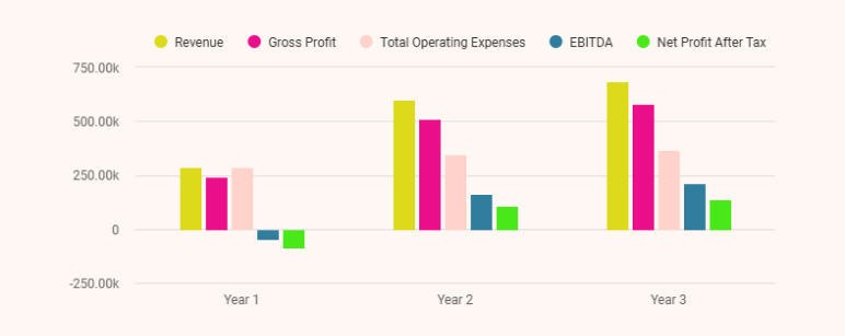 Home inspection business plan profit and loss projections