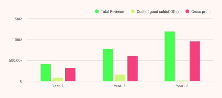 Delivery service business plan financial projections