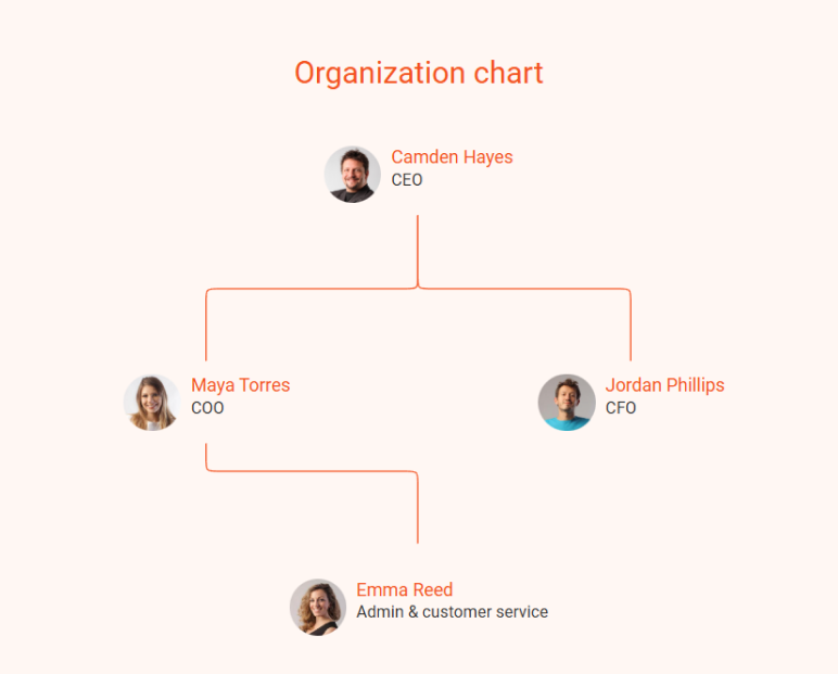 Delivery service business plan organization chart