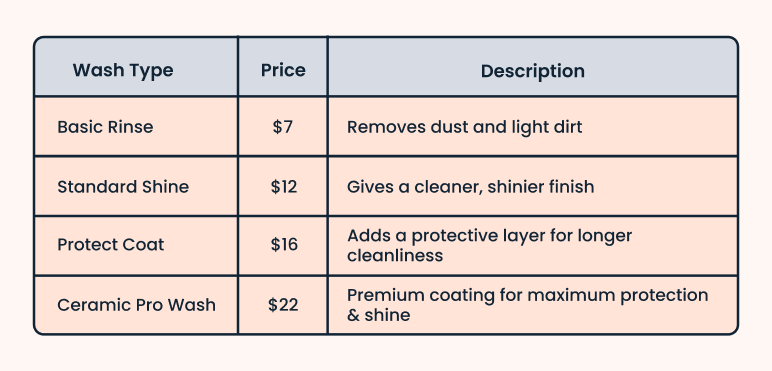 Car wash business plan wash type