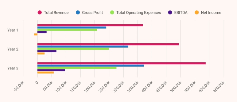 Profit & Loss Statement (3 Years) - business plan