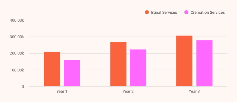Revenue Projection - business plan